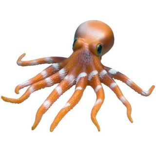 Obrázek z Chobotnice strečová 19cm (24) 
